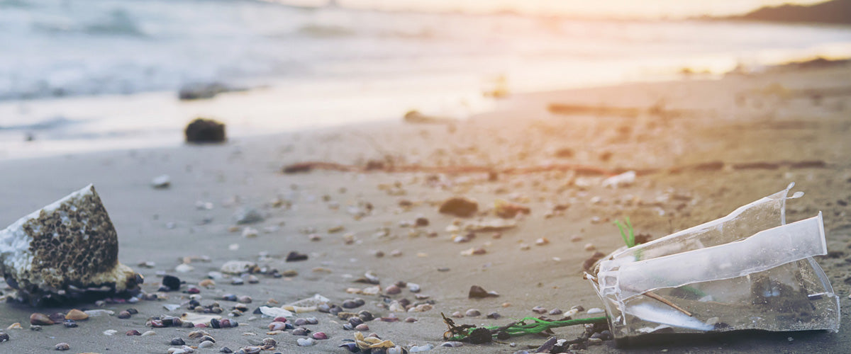 Why We Choose Glass Bottles and Skip Unnecessary Packaging Sunshine + Saltwater®