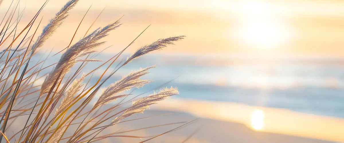 Beating-the-Winter-Blues-Bring-Beach-Vibes-into-Your-Everyday-Life Sunshine + Saltwater