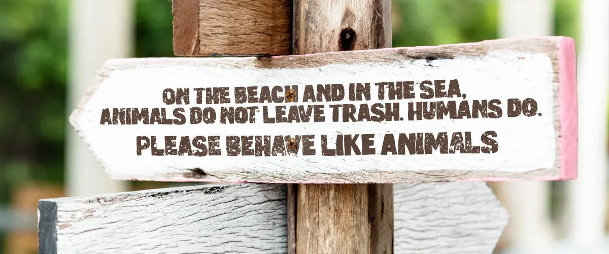 Making-Waves-Why-Shopping-Sunshine-and-Saltwater-Is-Eco-Conscious-Living-from-Shore-to-Store Sunshine + Saltwater