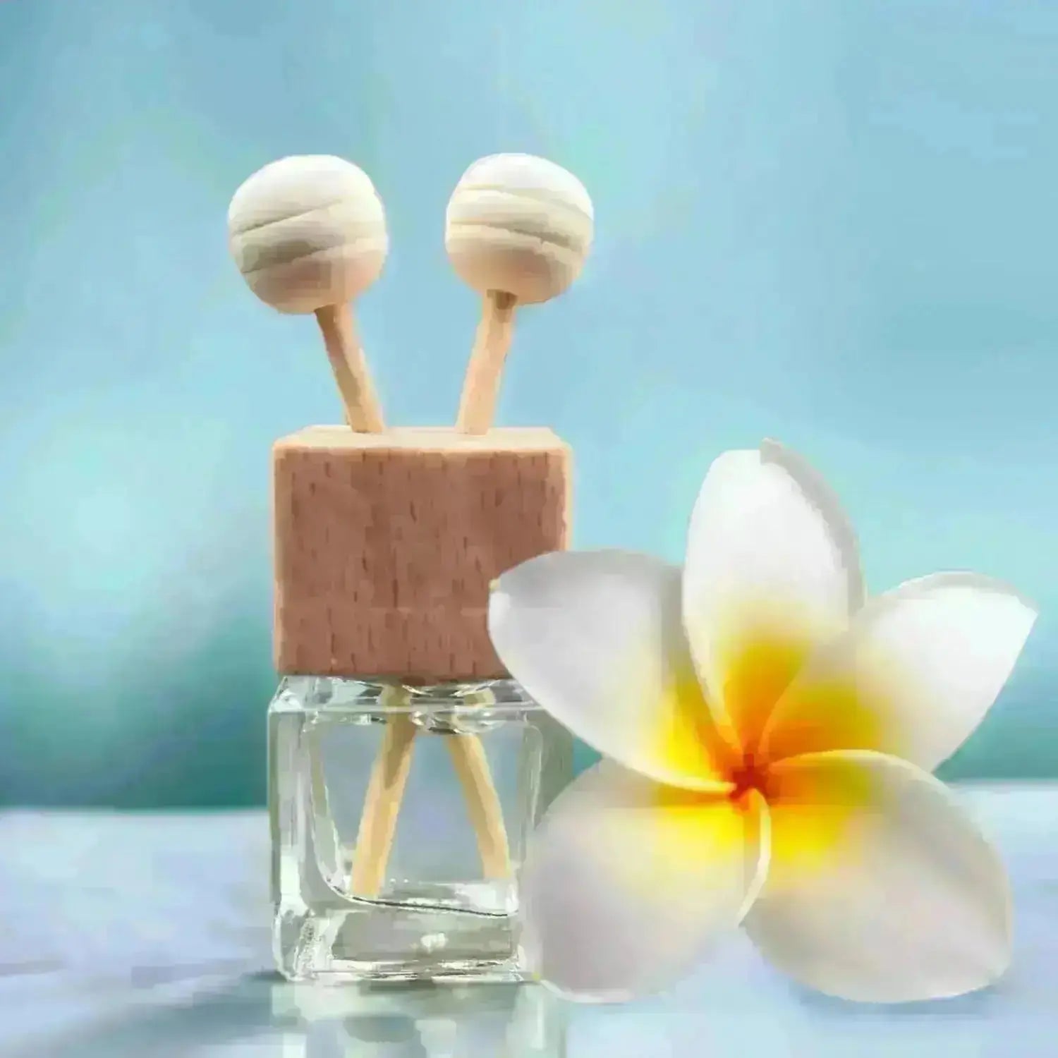 wholesale car diffusers with wooden reeds and lid complete with beachy scents for beach gift shops or boutiques