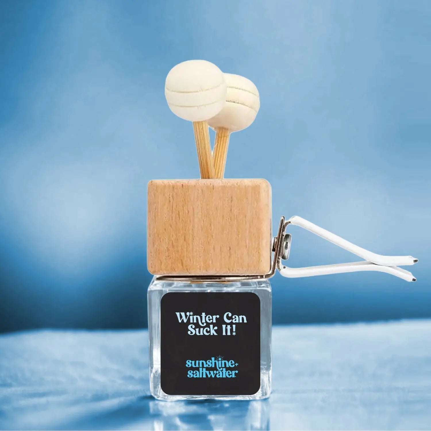 Winter Sucks | Car Diffuser Sunshine + Saltwater