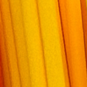 Colored Reeds Sunshine + Saltwater