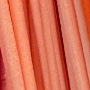 Colored Reeds Sunshine + Saltwater