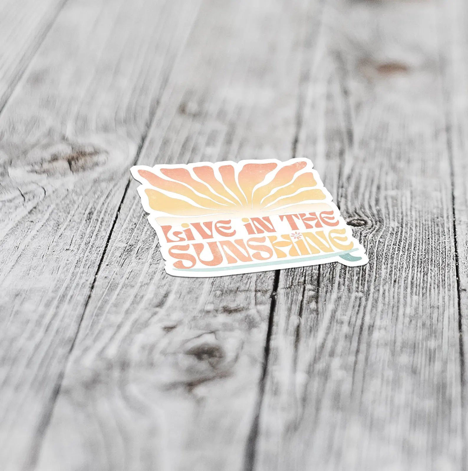 live in the sunshine small sticker vinyl decal