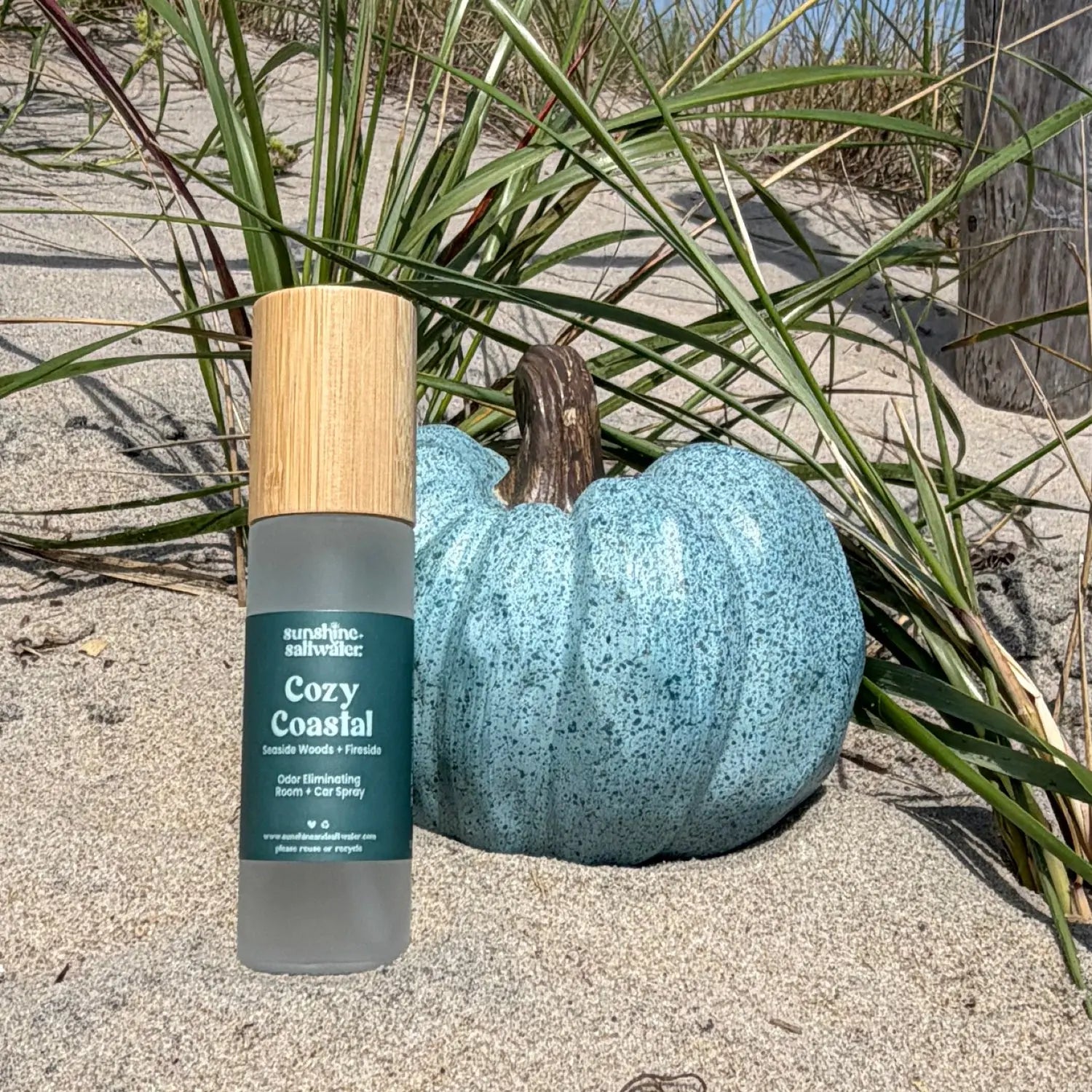 Cozy Coastal | Room + Car Spray Sunshine + Saltwater